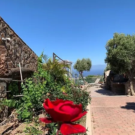 Cantos Del Grillo Инхенио
